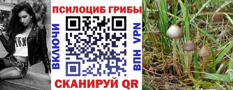 гидра зеркало  цена   Верхняя Тура  Галлюциногенные грибы MAGIC MUSHROOMS 